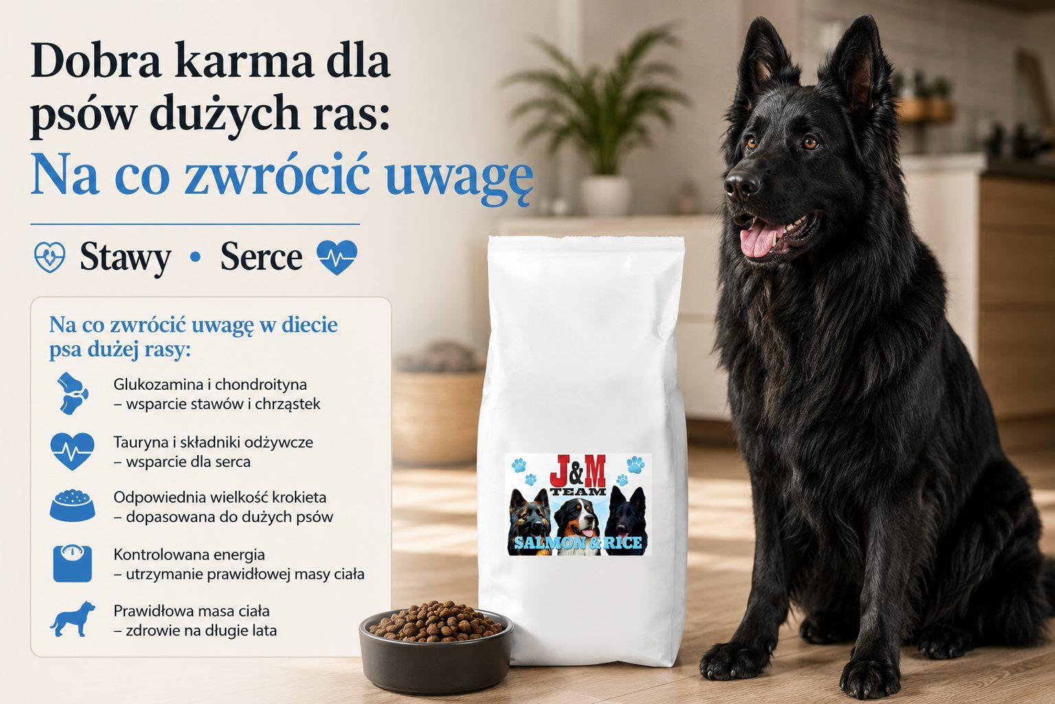 Dobra karma dla psów dużych ras: na co zwrócić uwagę?