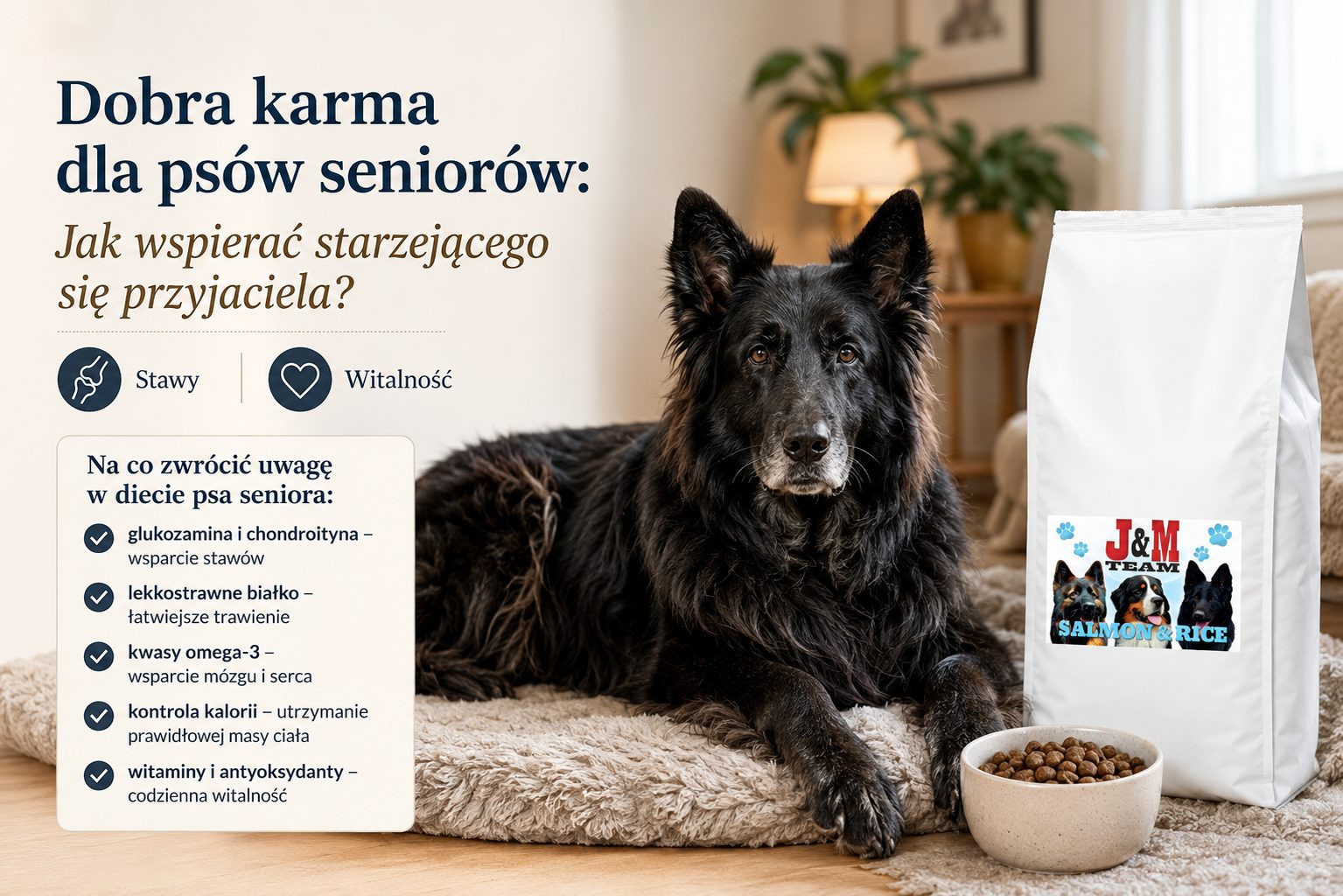 Dobra karma dla psów seniorów: Jak wspierać starzejącego się przyjaciela?