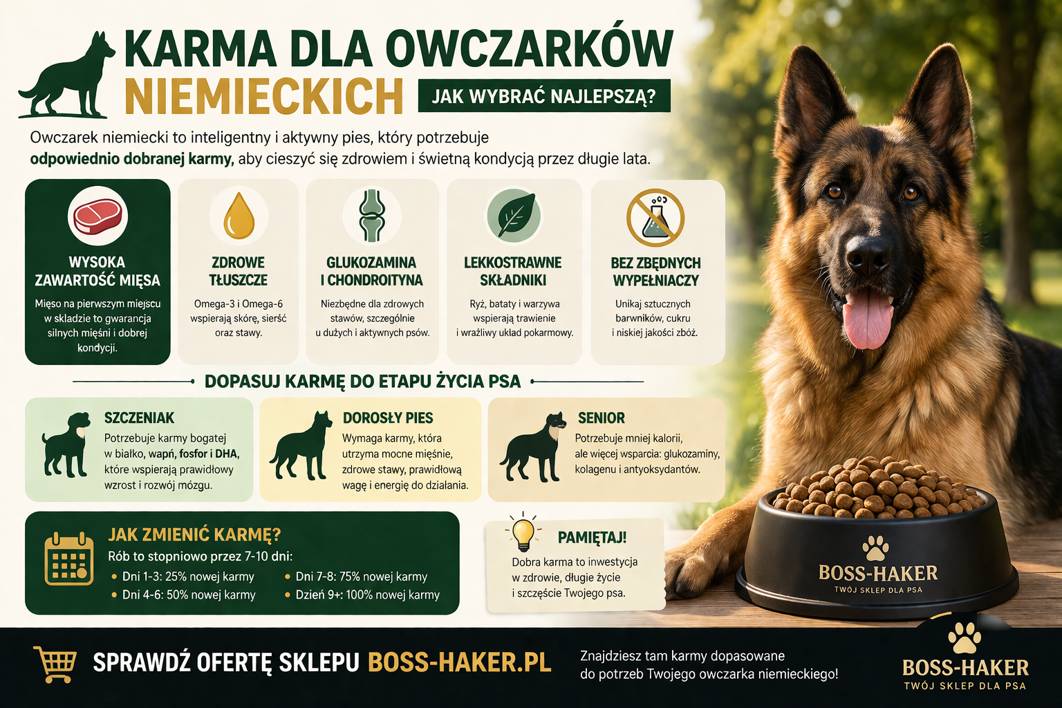 Karma dla owczarków niemieckich - jak wybrać najlepszą? Poradnik 2026